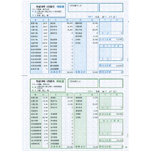 画像: 【定価の5%OFF】【送料無料】ソリマチ　専用帳票　SR210 給与・賞与明細書（明細型）※従来型