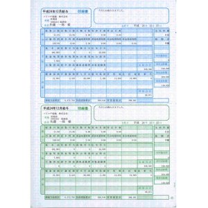 画像: 【定価の5%OFF】【送料無料】ソリマチ　専用帳票　SR231 給与・賞与明細書（明細ヨコ型）