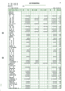 画像1: 【送料無料】ソリマチ　専用帳票　SR9481 合計残高試算表